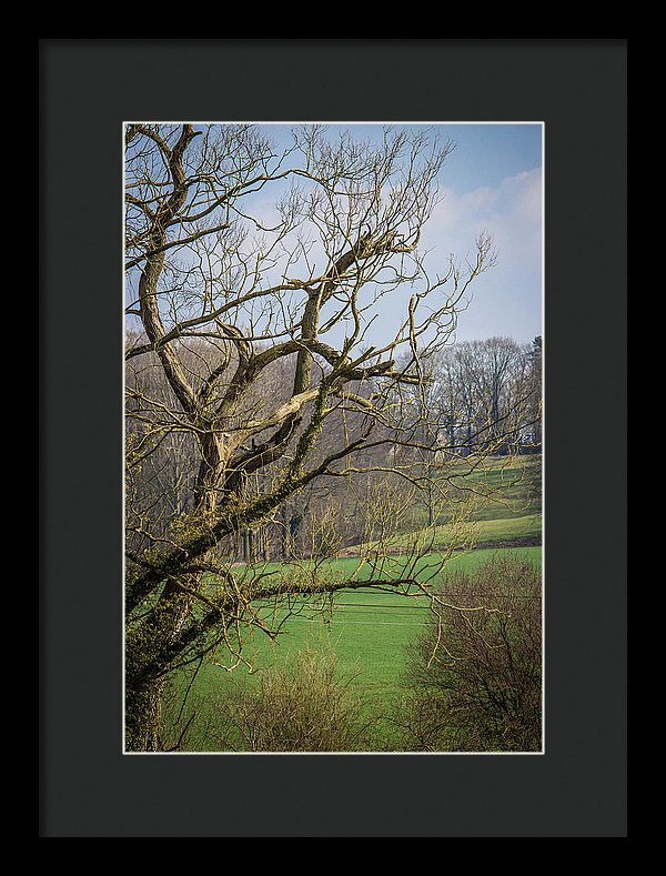 Countryside In Belgium - Framed Print