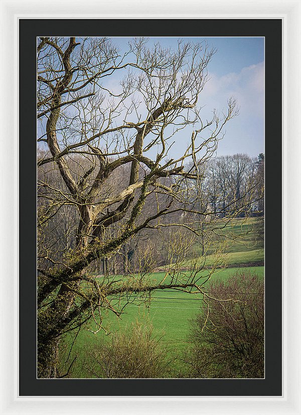 Countryside In Belgium - Framed Print