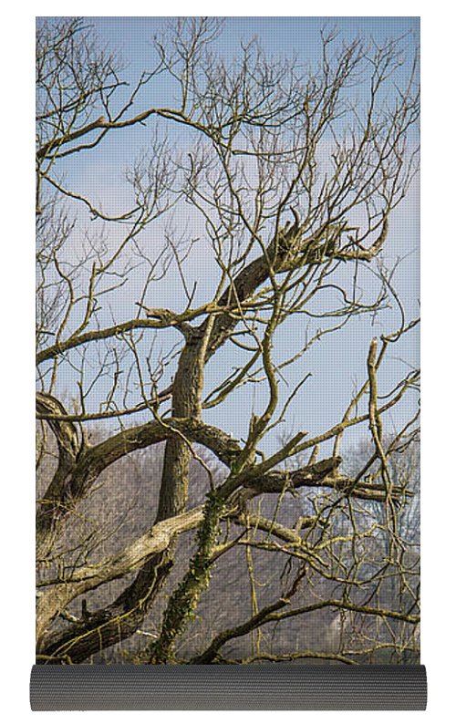 Countryside In Belgium - Yoga Mat