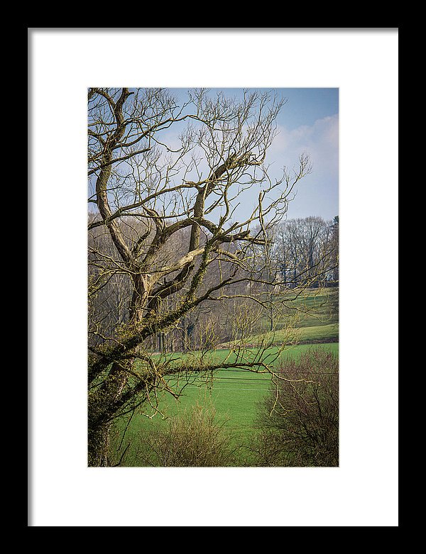 Countryside In Belgium - Framed Print