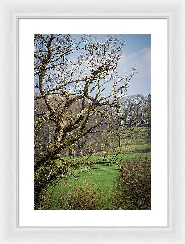 Countryside In Belgium - Framed Print