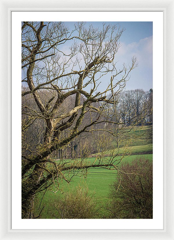 Countryside In Belgium - Framed Print