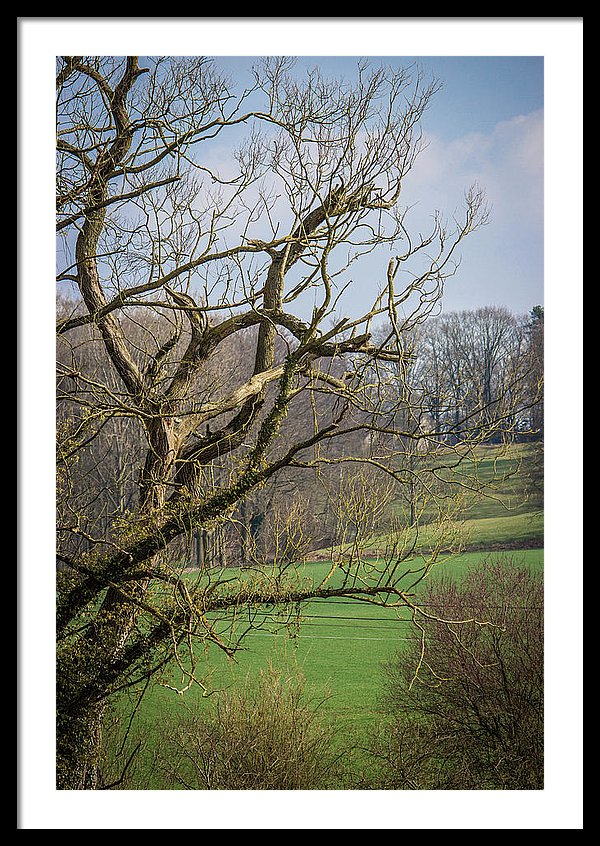 Countryside In Belgium - Framed Print