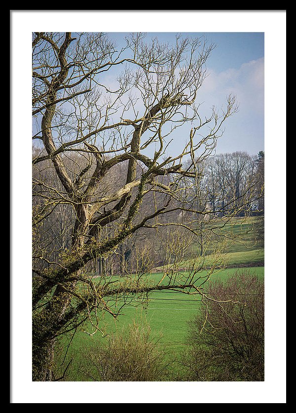 Countryside In Belgium - Framed Print