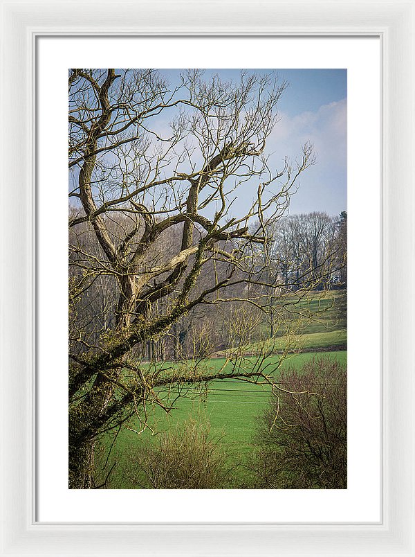 Countryside In Belgium - Framed Print