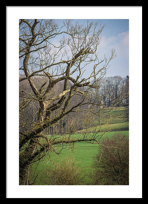 Countryside In Belgium - Framed Print