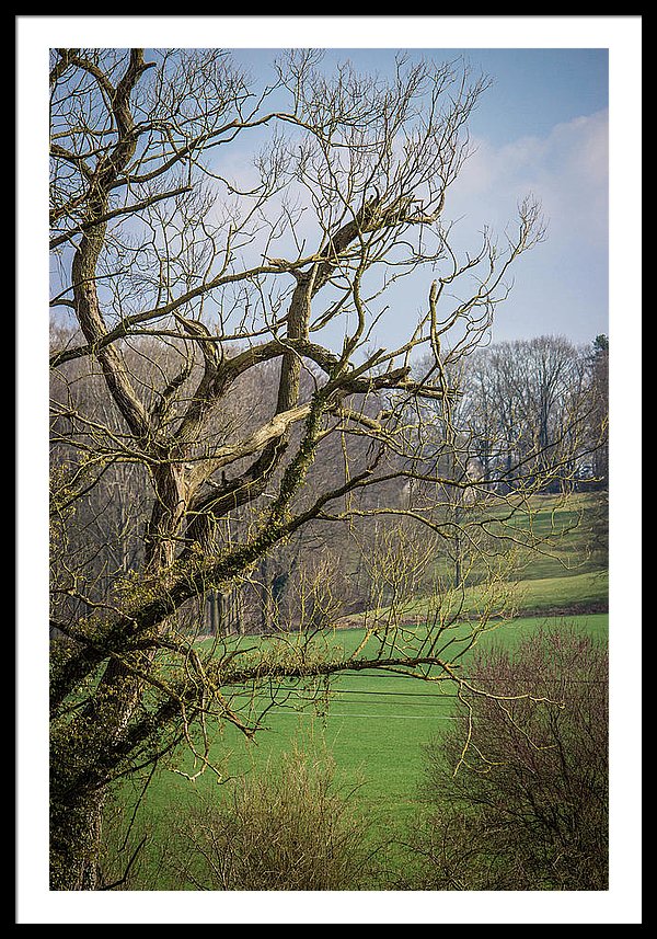 Countryside In Belgium - Framed Print