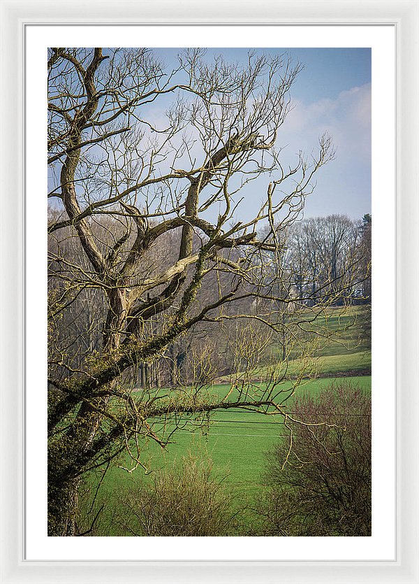 Countryside In Belgium - Framed Print