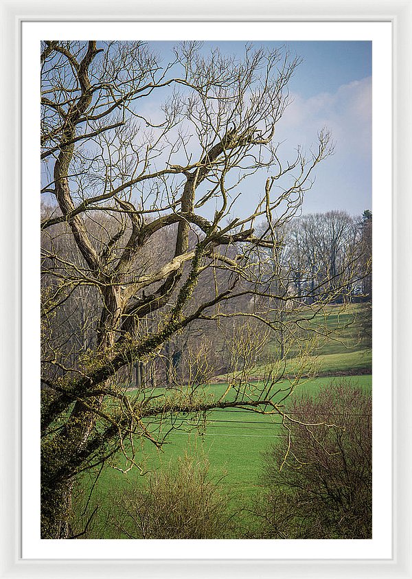 Countryside In Belgium - Framed Print