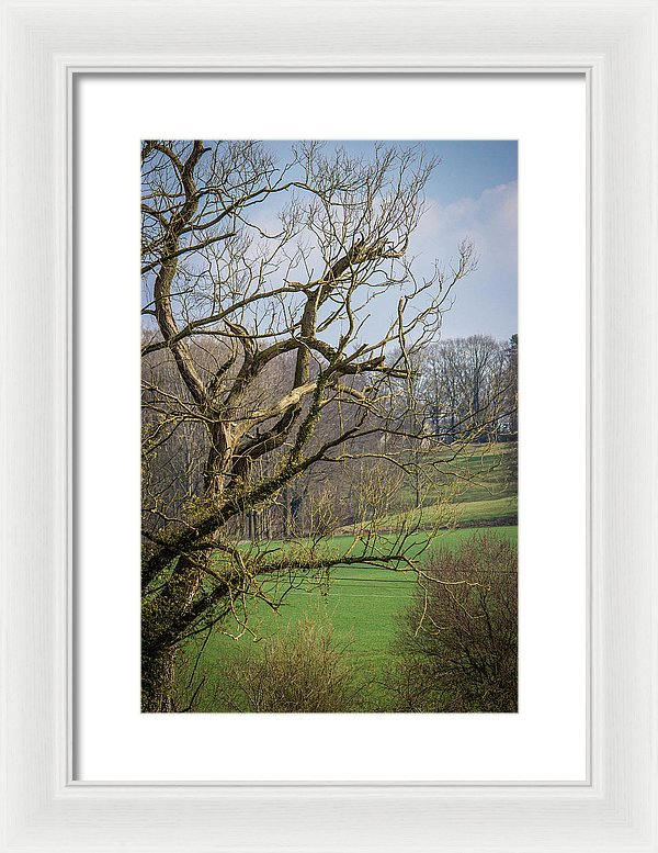 Countryside In Belgium - Framed Print