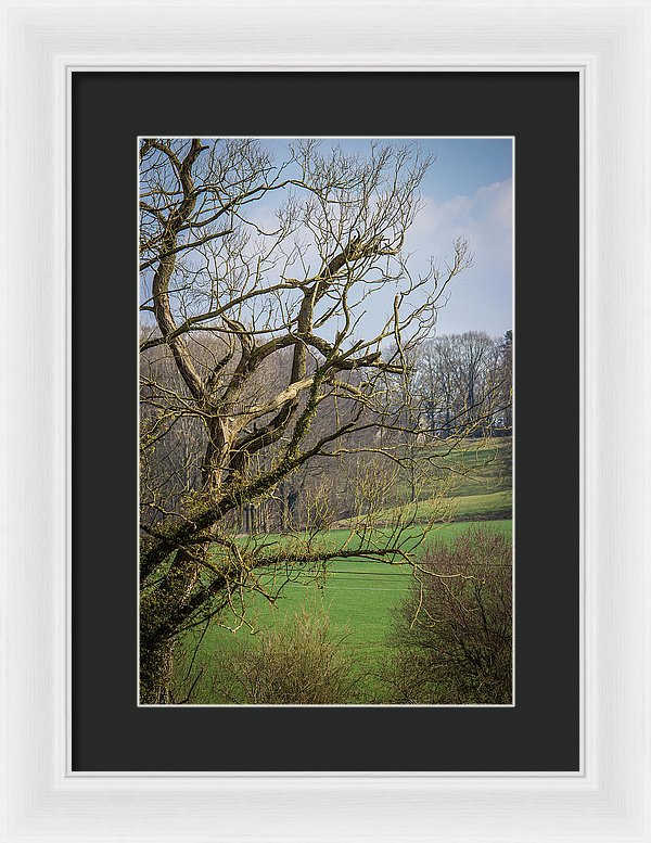 Countryside In Belgium - Framed Print