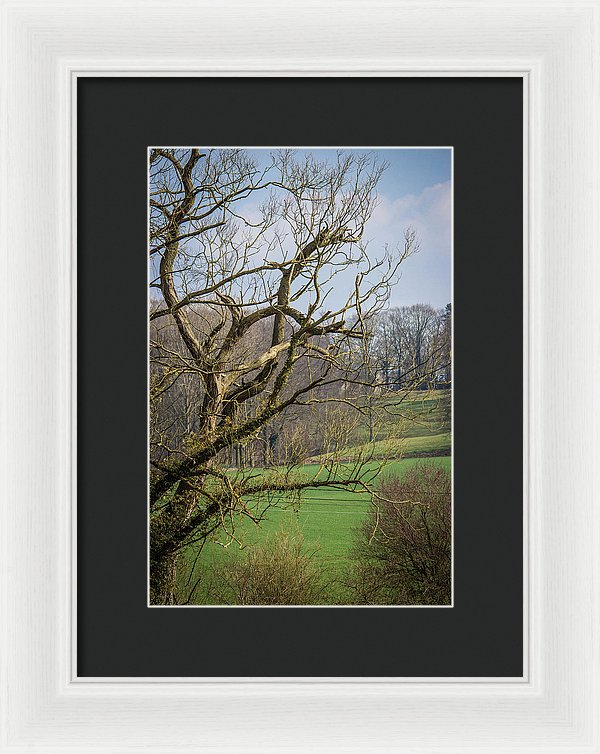 Countryside In Belgium - Framed Print