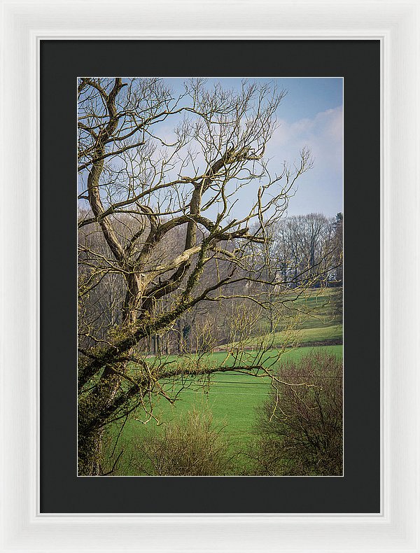 Countryside In Belgium - Framed Print