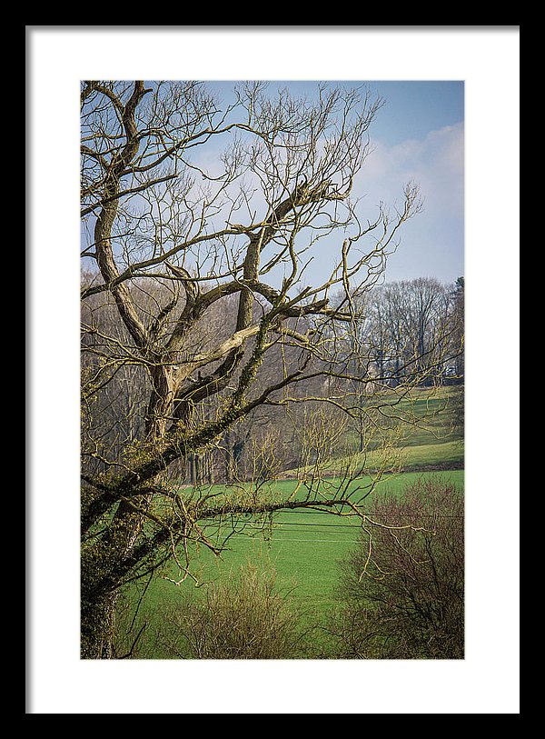 Countryside In Belgium - Framed Print