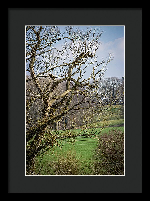 Countryside In Belgium - Framed Print