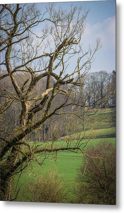 Countryside In Belgium - Metal Print