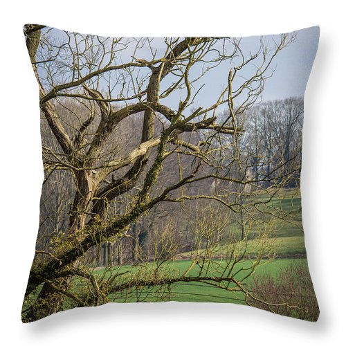 Countryside In Belgium - Throw Pillow