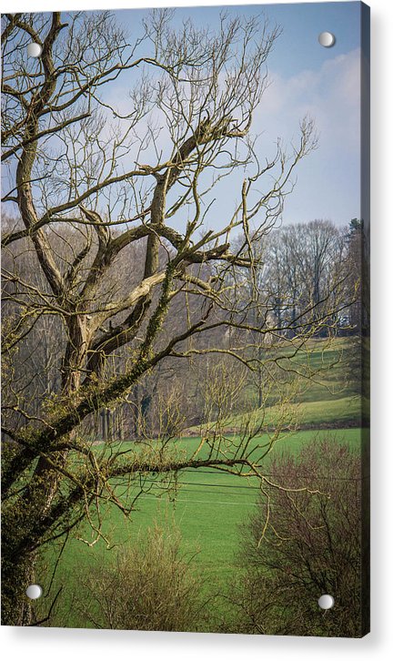 Countryside In Belgium - Acrylic Print