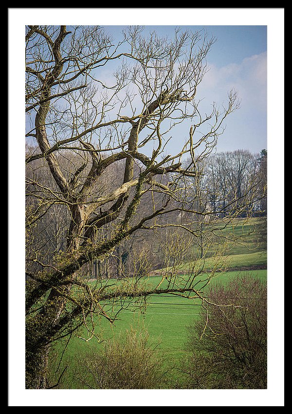 Countryside In Belgium - Framed Print