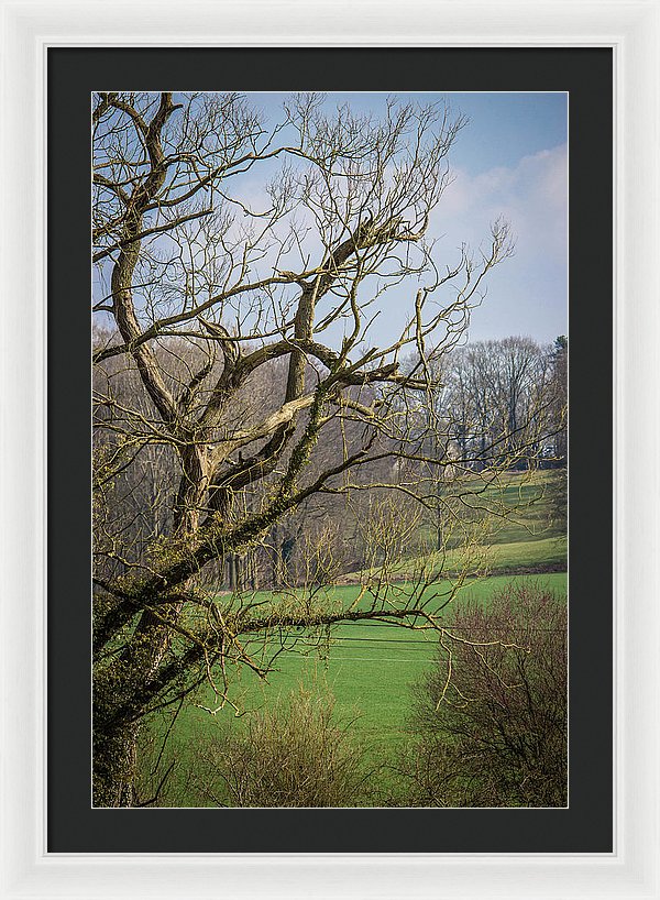 Countryside In Belgium - Framed Print