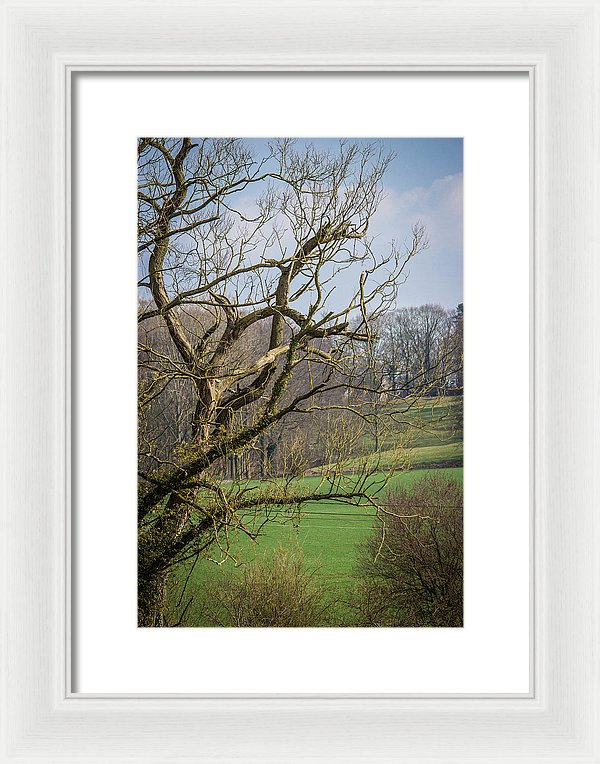 Countryside In Belgium - Framed Print