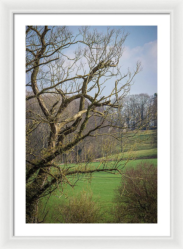 Countryside In Belgium - Framed Print