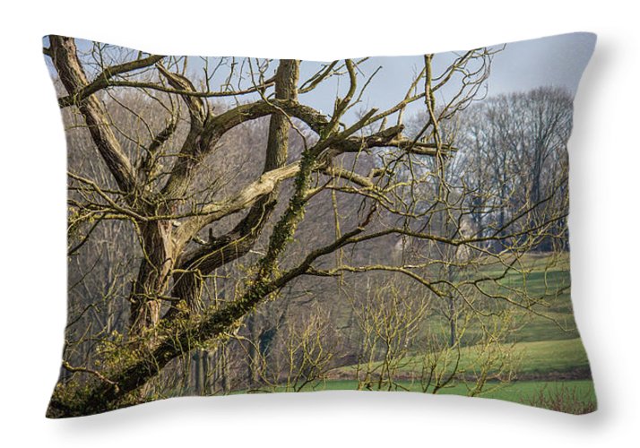 Countryside In Belgium - Throw Pillow