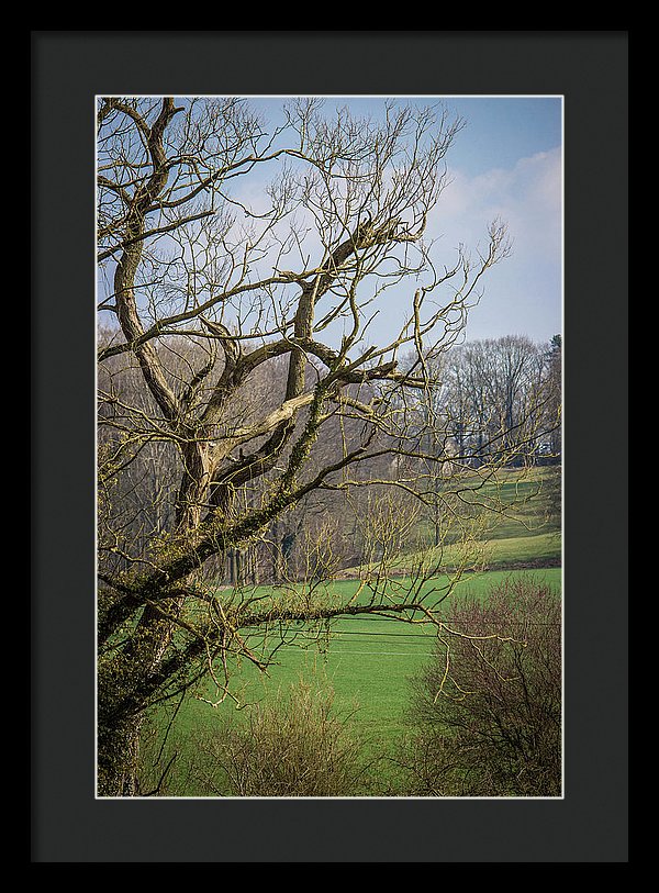 Countryside In Belgium - Framed Print