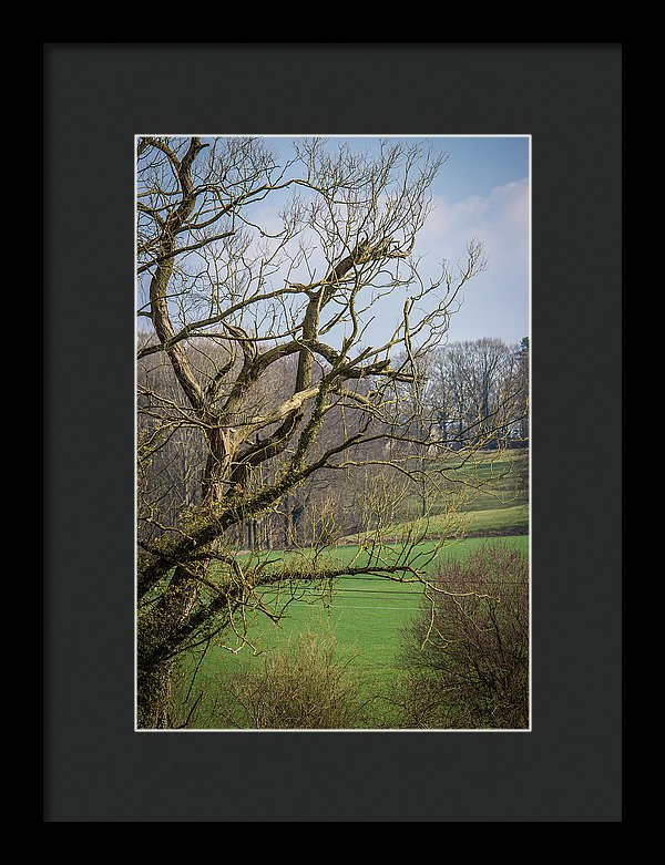 Countryside In Belgium - Framed Print