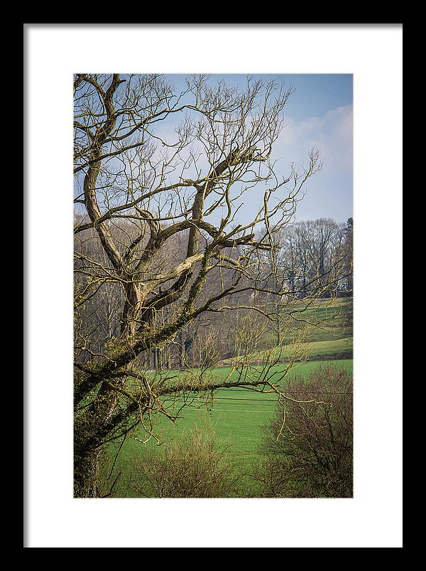 Countryside In Belgium - Framed Print