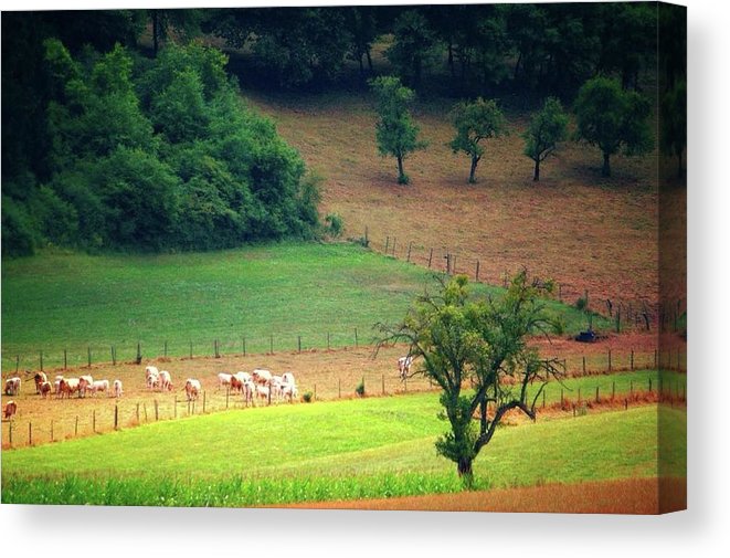 Countryside Landscape - Canvas Print