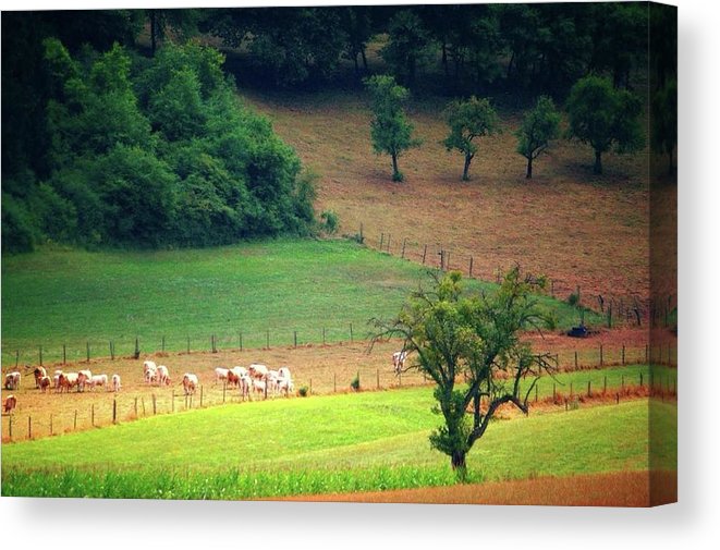 Countryside Landscape - Canvas Print