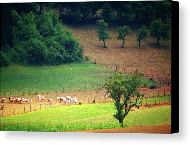 Countryside Landscape - Canvas Print