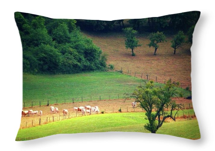Countryside Landscape - Throw Pillow
