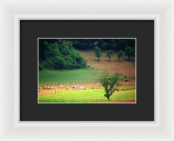 Countryside Landscape - Framed Print