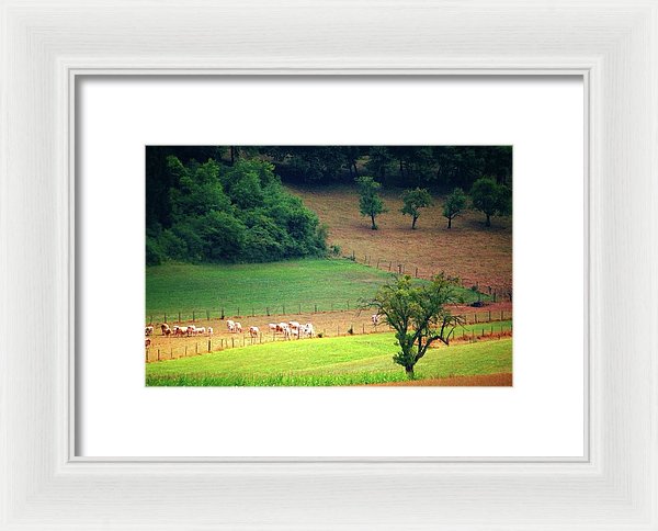 Countryside Landscape - Framed Print