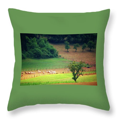 Countryside Landscape - Throw Pillow