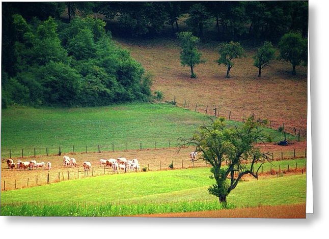 Countryside Landscape - Greeting Card