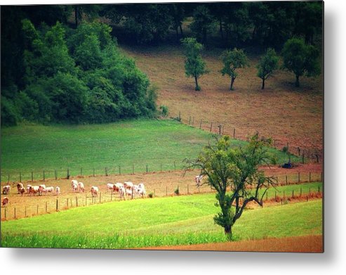 Countryside Landscape - Metal Print