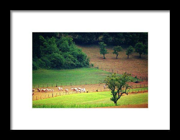 Countryside Landscape - Framed Print