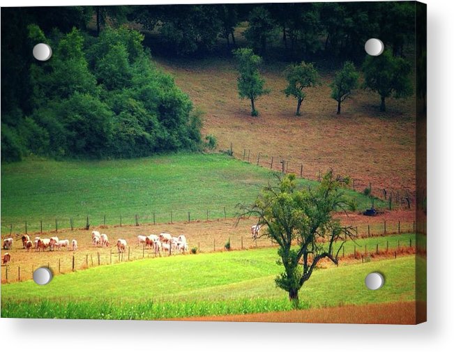Countryside Landscape - Acrylic Print