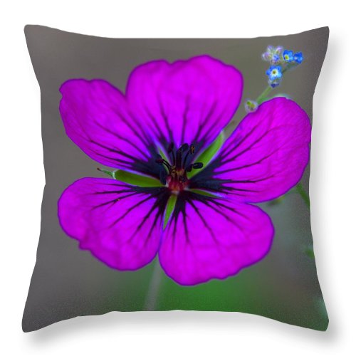 Delicate Beauty - Throw Pillow