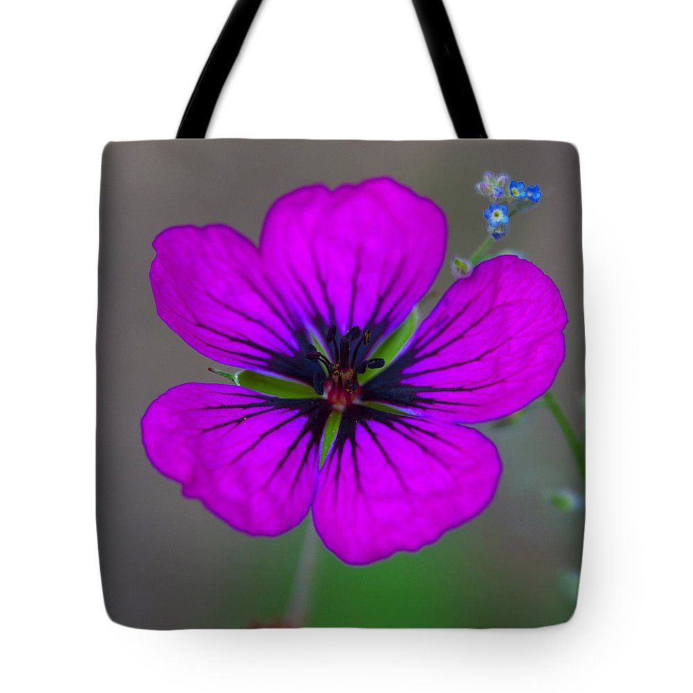 Delicate Beauty - Tote Bag