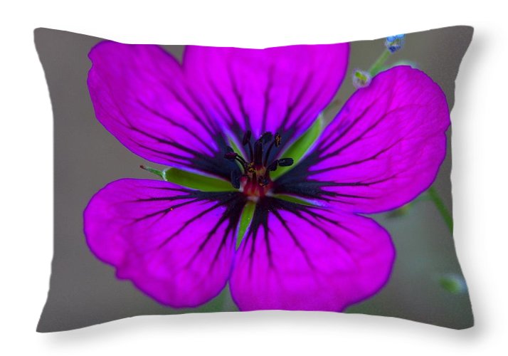 Delicate Beauty - Throw Pillow