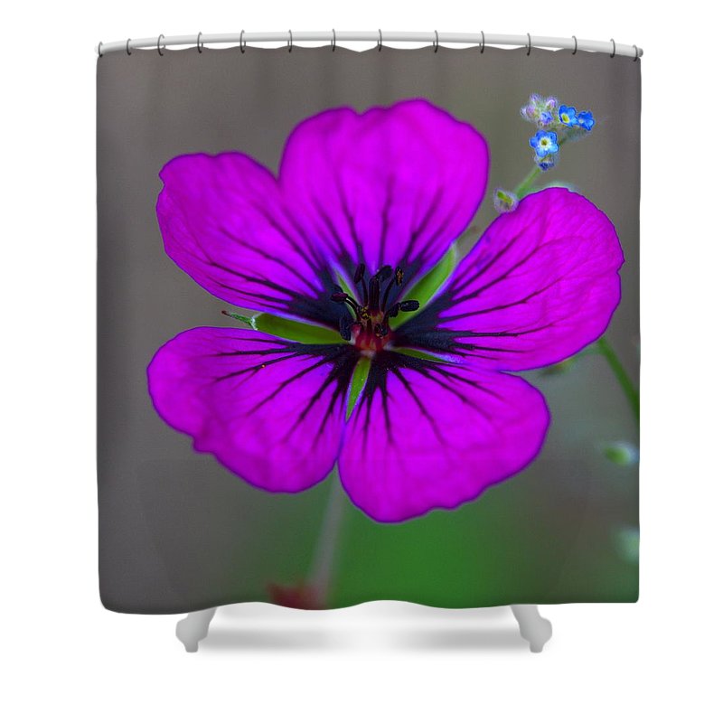 Delicate Beauty - Shower Curtain
