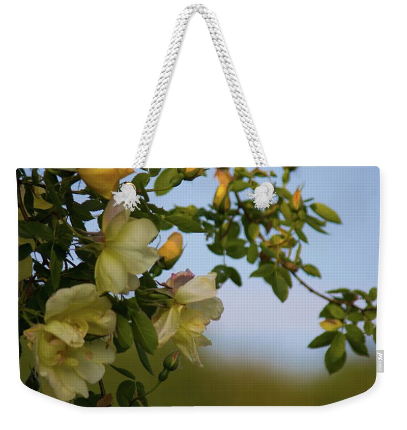 Delicate Roses - Weekender Tote Bag