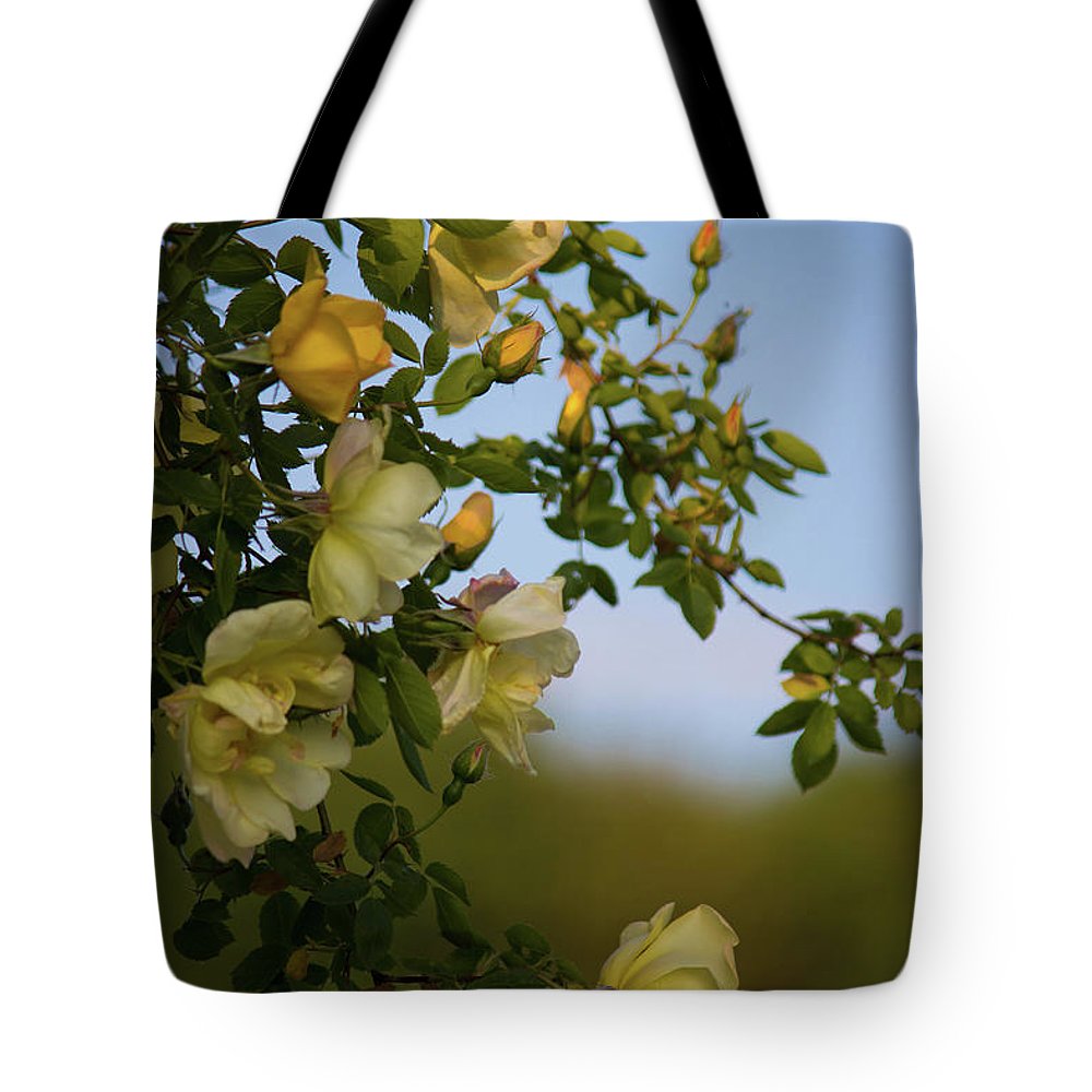 Delicate Roses - Tote Bag