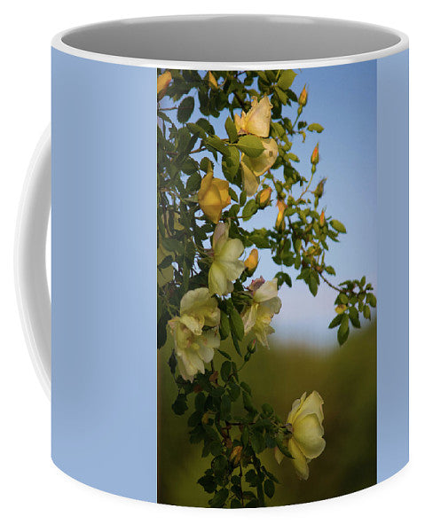 Delicate Roses - Mug