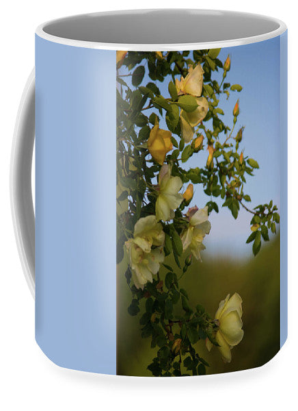 Delicate Roses - Mug