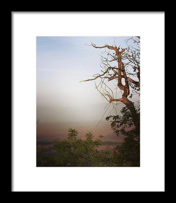 Foggy Morning - Framed Print